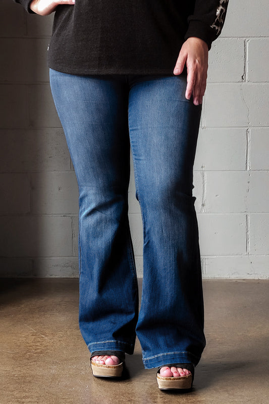 Cello Pull On Flare Petite Denim